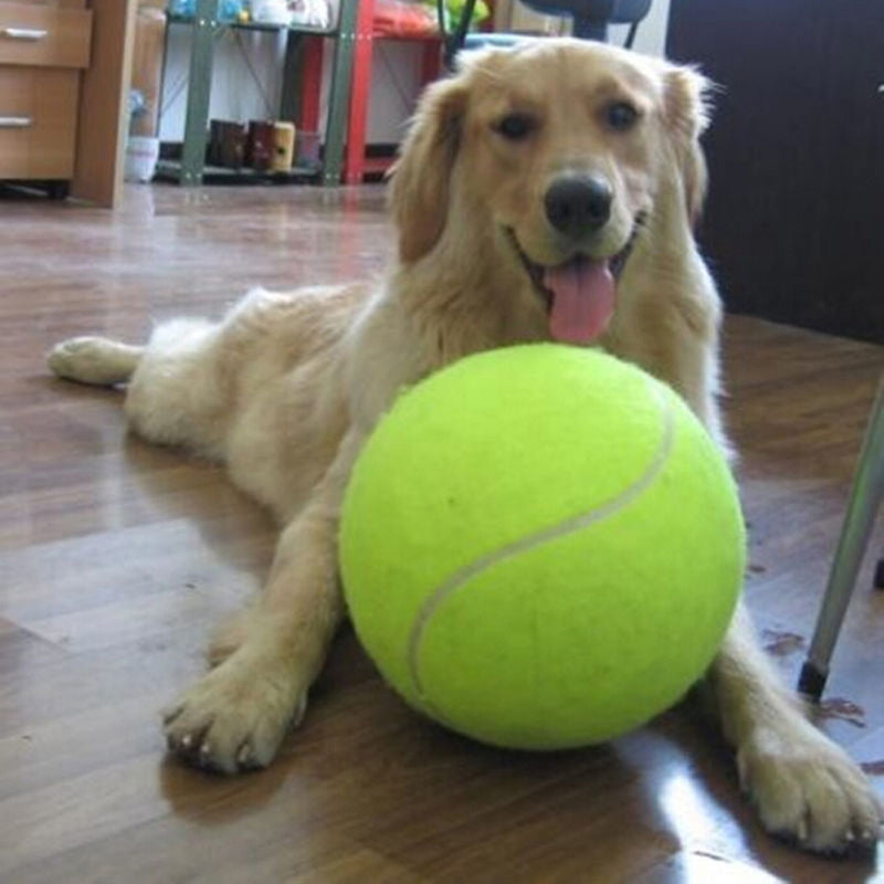 9.5 Inches Dog Tennis Ball