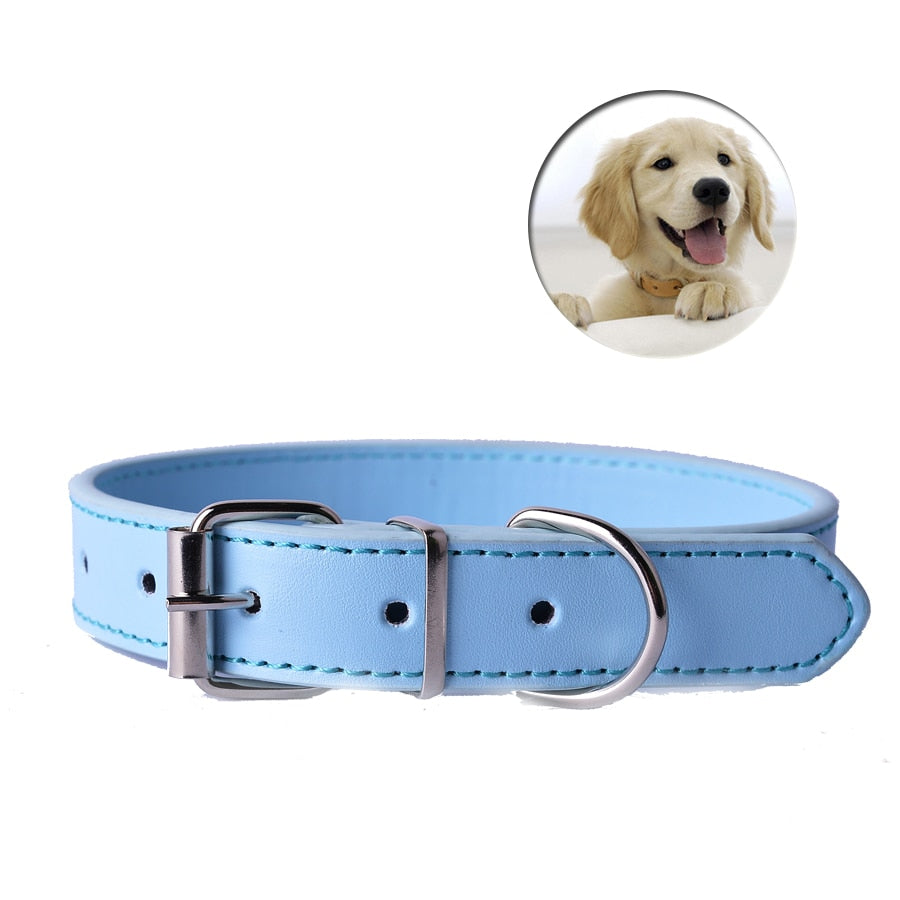 Fashion Leather Dog Collar