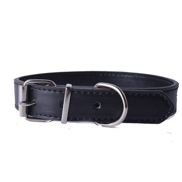 Fashion Leather Dog Collar