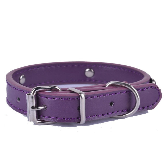 Fashion Leather Dog Collar
