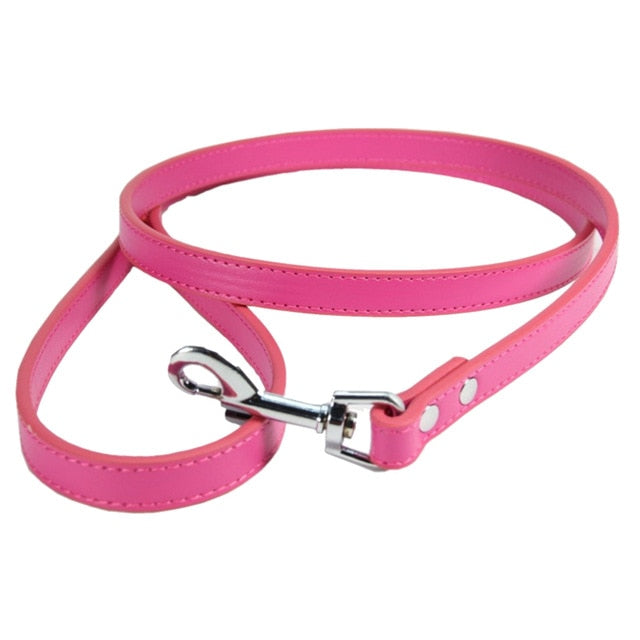 Fashion Leather Dog Collar