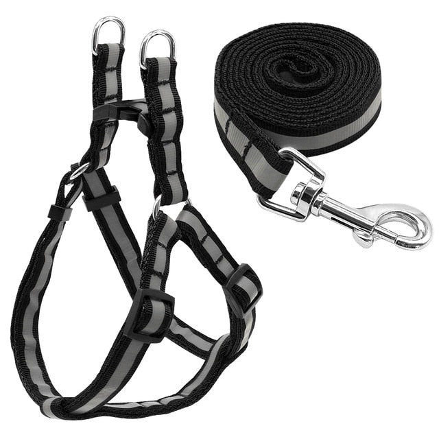 Nylon Reflective Dog Harness Leash