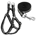 Nylon Reflective Dog Harness Leash
