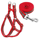 Nylon Reflective Dog Harness Leash