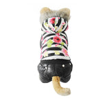 Black Autumn Winter Dog